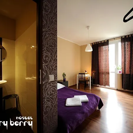旅馆 Very Berry - Old Town, Parking, Lift, Reception 24h