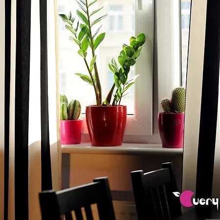 旅馆 Very Berry - Old Town, Parking, Lift, Reception 24h *