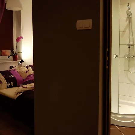 旅馆 Very Berry - Old Town, Parking, Lift, Reception 24h 波兹南